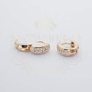 BRINCO ARGOLA BANHADO DUAS FILEIRAS CRAVEJADO